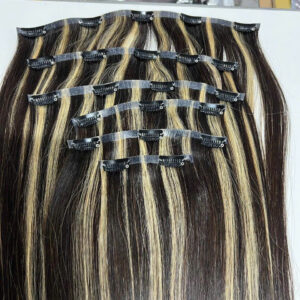 Clip in